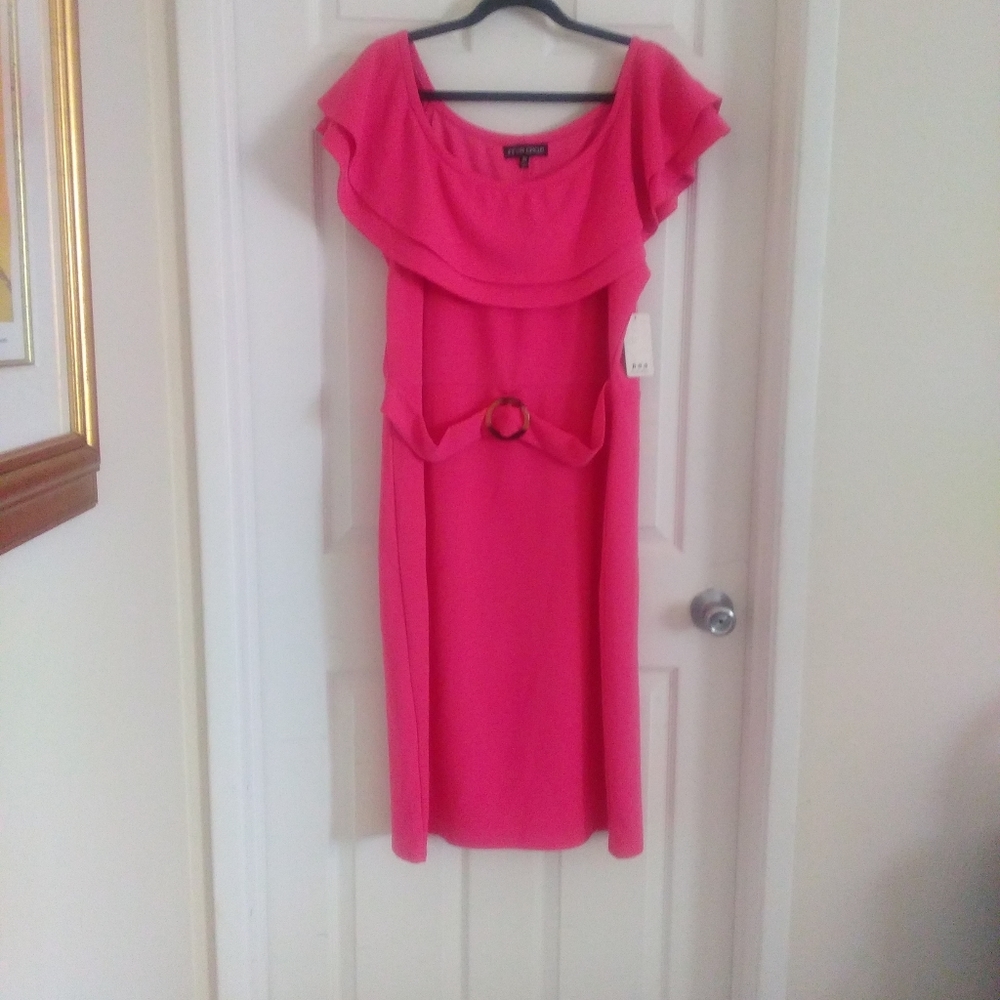 Ashley Stewart Dress Size 3X